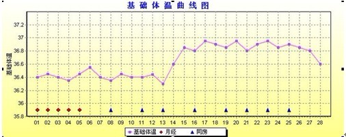 周期28天正常排卵的基础体温曲线图