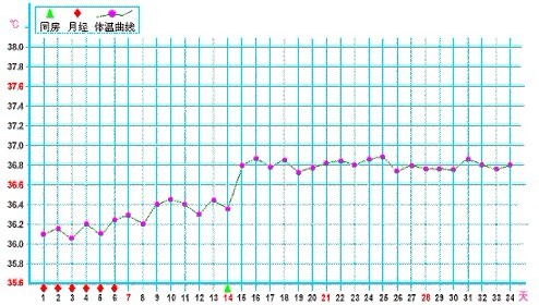 已经怀孕的基础体温曲线图