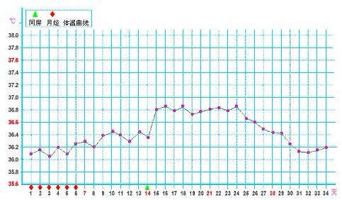 黄体功能不良体温下降的基础体温曲线图