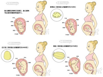 怀孕九个月胎儿图