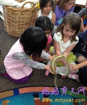 幼儿园真蛇教学方法 惊到我目瞪口呆