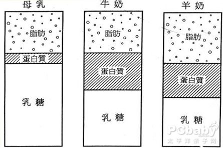 3种奶水成分区别