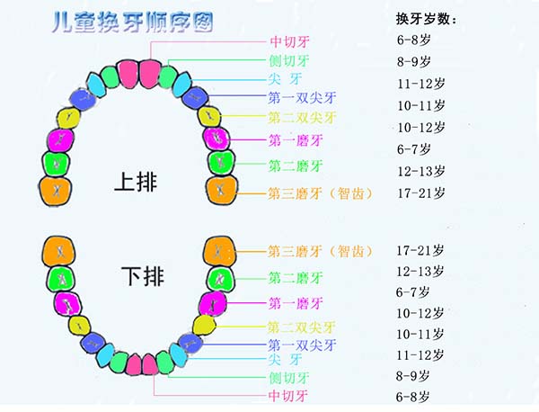 换牙齿的年龄几岁到几岁