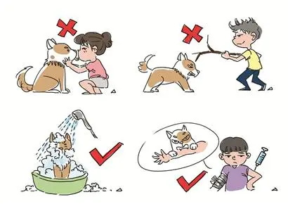 打了狂犬疫苗怀孕会导致胎儿畸形吗？