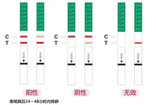 排卵试纸比早孕试更快测出怀孕吗？