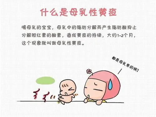 母乳性黄疸母亲忌口什么