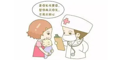 如何判断母乳性黄疸？判断母乳性黄疸最直接的方法