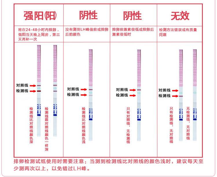 排卵试纸显示双杠是代表怀孕了吗