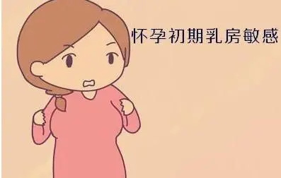 刚怀孕乳房症状 带你了解孕早期乳房有哪些变化