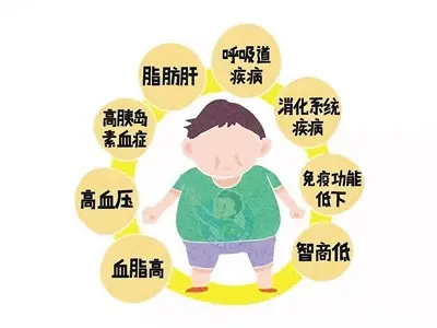 儿童肥胖的八大危害