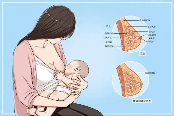 母乳喂养十大禁忌