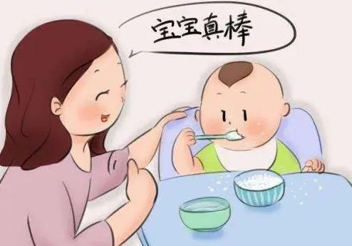 婴儿6个月辅食，宝宝6个月辅食安排表