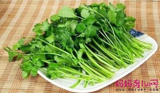 碱性食物之香菜