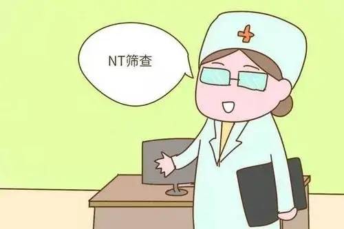 NT值能看男女吗 孕12周nt暗示男女吗？