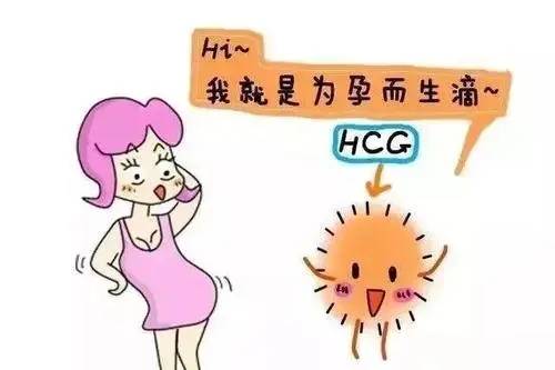 验血hcg多少才算怀孕