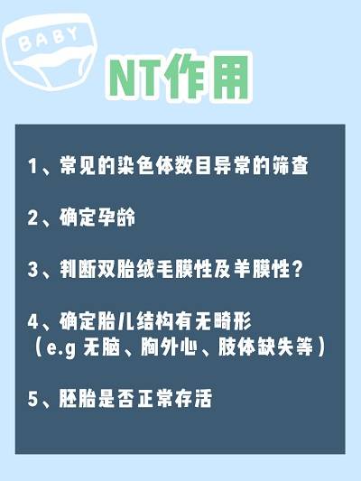 nt小于1.5一定是女孩吗？nt值1.5是男孩还是女孩