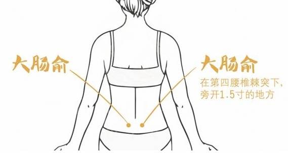 大肠俞