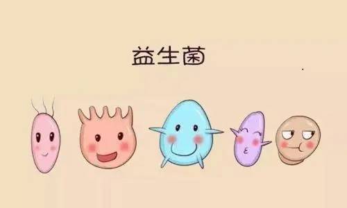 宝宝便秘吃什么益生菌