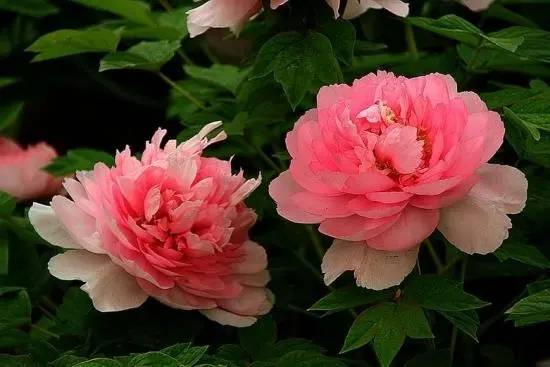 那个时辰出生容易有钱？以下6个出生时辰的人命中富贵