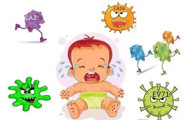 手足口疾病如何能够有效预防？患儿在护理时有哪些注意事项？  手足口病是5岁以下婴幼儿非常容易得的传染性疾病，它也是常见流行性病学中的一种病症。该病呈全年高发的态势，它所诱发的其他并发症以及造成的死亡病例每年都有发生。所以对于家长们来说，如何让自己的宝宝远离手足口疾病？如何才能够有效的预防？患儿在护理时有哪些需要注意的地方？等等这些都是他们非常关的重点问题。  01普通预防性的防护措施  首先家里有宝宝的家长们对自身要建立起一种非常强的防护意识，对孩子经常接触到的物品以及玩具等要进行定期有效的消毒和清洁，保证物品的清洁程度。另外要在细心的指导下让宝宝养成良好的卫生习惯，不咬各种物品，在日常尤其是接触完有菌的环境以及吃饭前都要洗手等等。另外家长在为孩子日常做饭时，也要注意一定要将食物进行充分的加工，不要吃没有熟透的食物，尽量喝温开水，不喝冷水等。根据国家卫健委的规定，到一定时间段要为儿童接种相关的疫苗，也可以有效的预防患病的几率。  02对患儿的护理措施  首先在饮食上要尽量让患儿以进食流食为主，以此方法来平衡孩子体内各种物质的有机平衡，可以用少吃多餐的办法。而且流食也会尽量的避免与口腔内粘膜的接触，减少患儿的疼痛感。在病情得到有效控制的稳定后，患儿则可以以软食和流食互相搭配的方式进行进食，这时要避免吃海鲜类以及能够刺激口腔内的各种食物。在发热已经被有效控制，患儿的温度降低后，则可以适当的补充各类的蛋白质以及维生素等物质，这样也能够起到润肠和更好的排便的作用。一般情况下患儿在10天以后的时间就能够进行正常的日常进食了。  03注意事项  患儿在治疗期间家长们一定要注意其与外界的隔离，不要有任何的接触，还要注意室内的消毒工作，对于患儿所用过的各种物品根据科学指导的方式方法进行彻底有效的消毒，在清洗过后可以放到阳光下通过暴晒的方式进行消毒和杀菌。另外，虽然患儿的身体表面会有疱疹的出现，但还是要保证患儿的皮肤、衣物、被褥等的清洁程度。包括给患儿剪指甲，防止他将身体上的疱疹抓破，一旦造成伤口则会有细菌感染的风险产生。  最后，家长们可以放宽心，其实患手足口疾病并不可怕，只要家长能够积极的配合医院医生用科学有效的防护及消毒的措施与方法，患儿的病症还是能够得到很好的控制、治疗以及恢复的。因此，国家的卫生防疫部门也通过各种宣传手段和方式普及相关的额知识，让更多年轻的家长们提高认识。