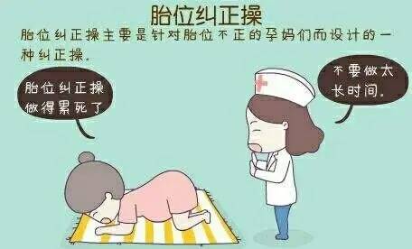 胎位不正的纠正方法图