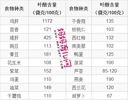 叶酸含量高的食物，常见食物中叶酸含量表