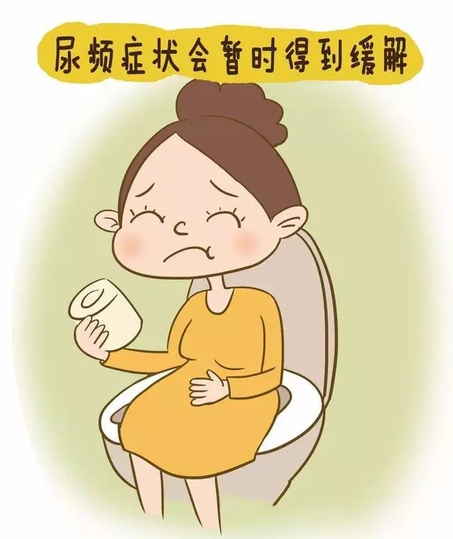 怀孕有尿频的症状吗_怀孕三个月有流血症状_怀孕三个月有流血症状