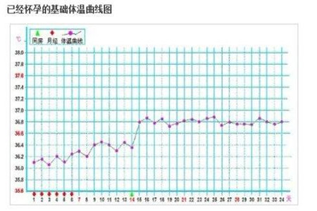 女人怀孕一个月的症状表现
