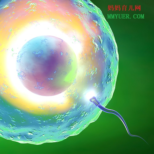 着床成功的第一感觉